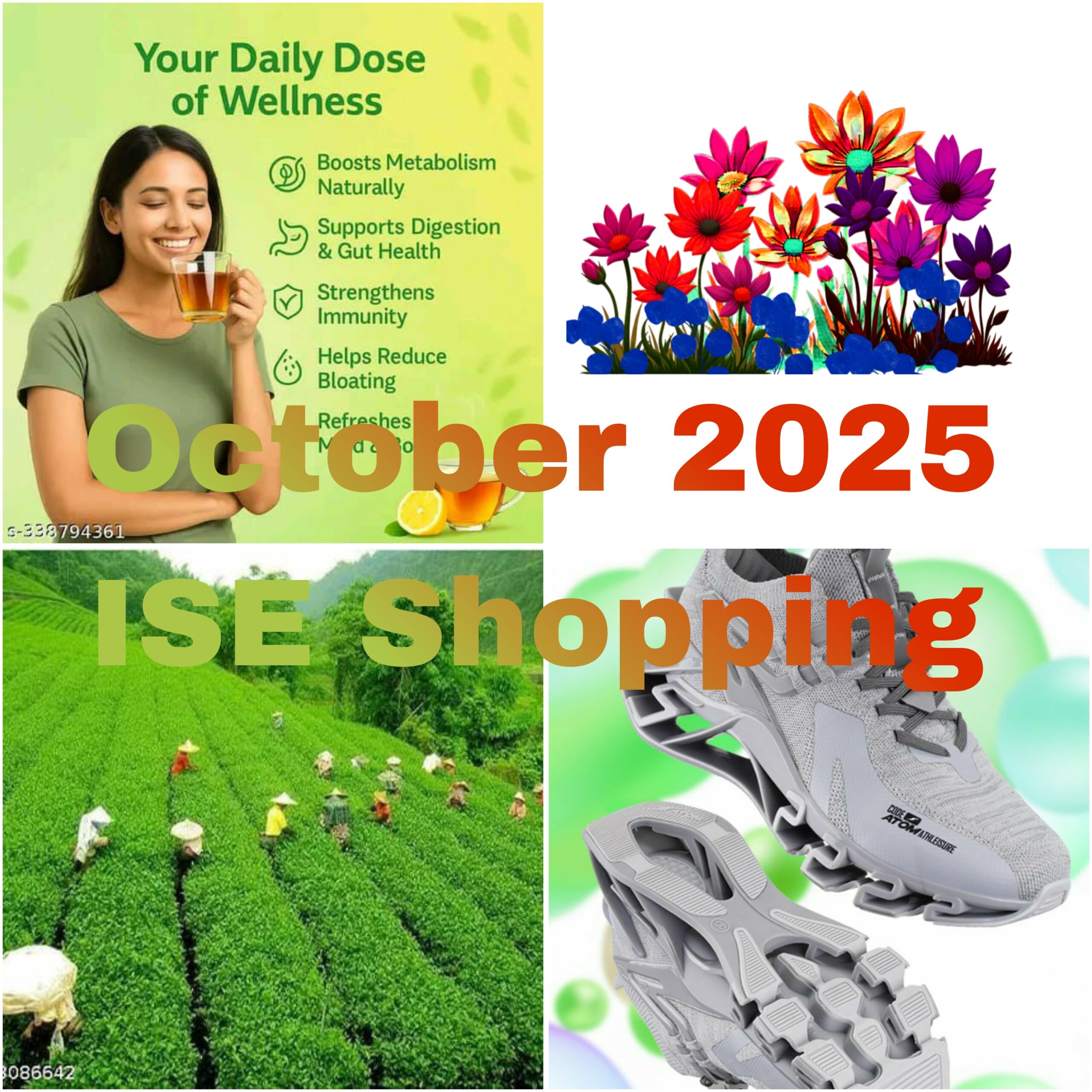The Overview of October 2025 ISE Products